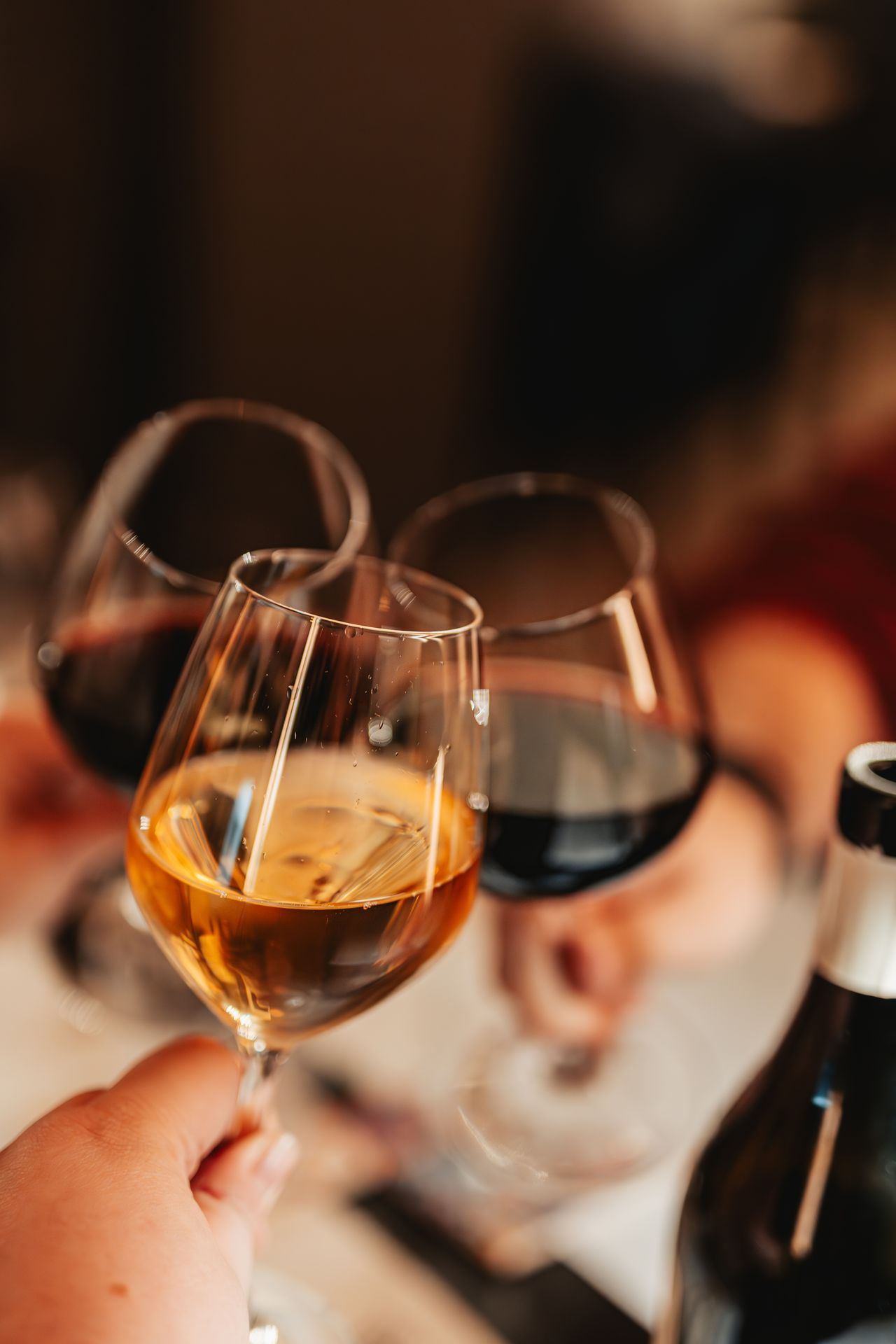 A toast between friends at the tables of Osteria Cernicchi